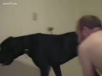 [ Beastiality Film ] Man desires to fuck his dog